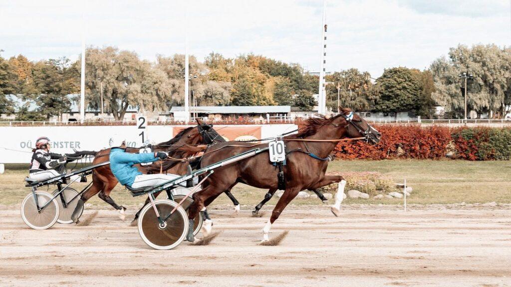 Ernestas Juškauskas