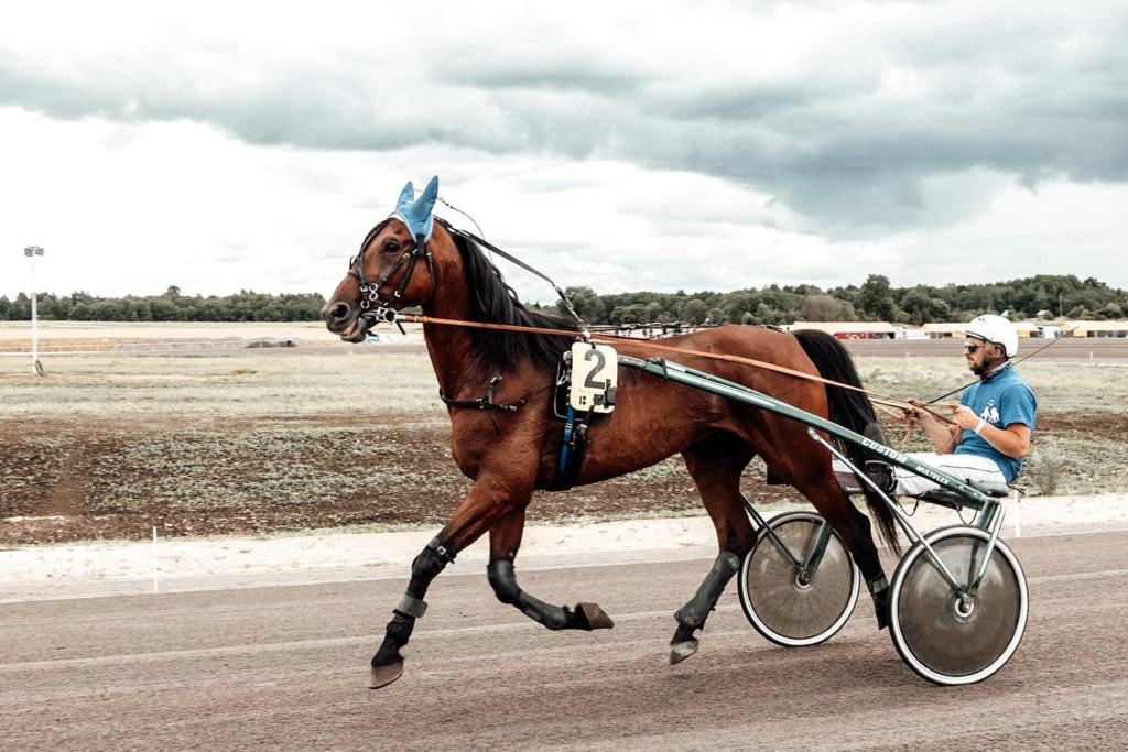 Ernestas Juškauskas