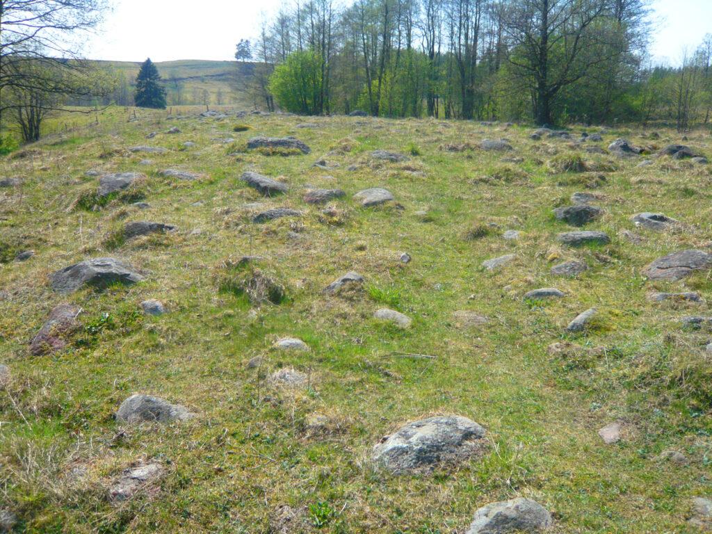 Bachanavo draustinis.